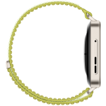 Huawei 華為 WATCH FIT 4 PRO 智能手錶 (原野綠)